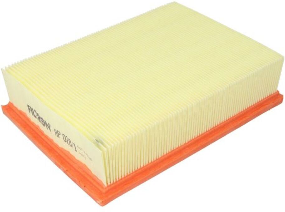 Filtron Filtro aria AP028/1