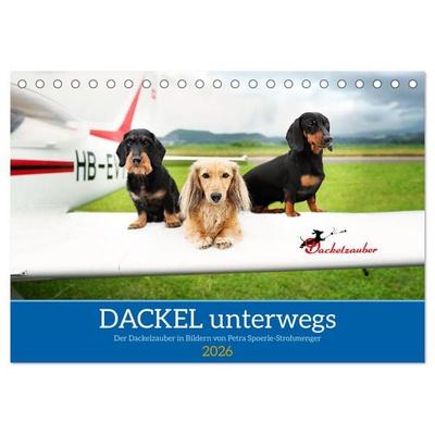 Dackel unterwegs (Tischkalender 2026 DIN A5 quer), CALVENDO Monatskalender