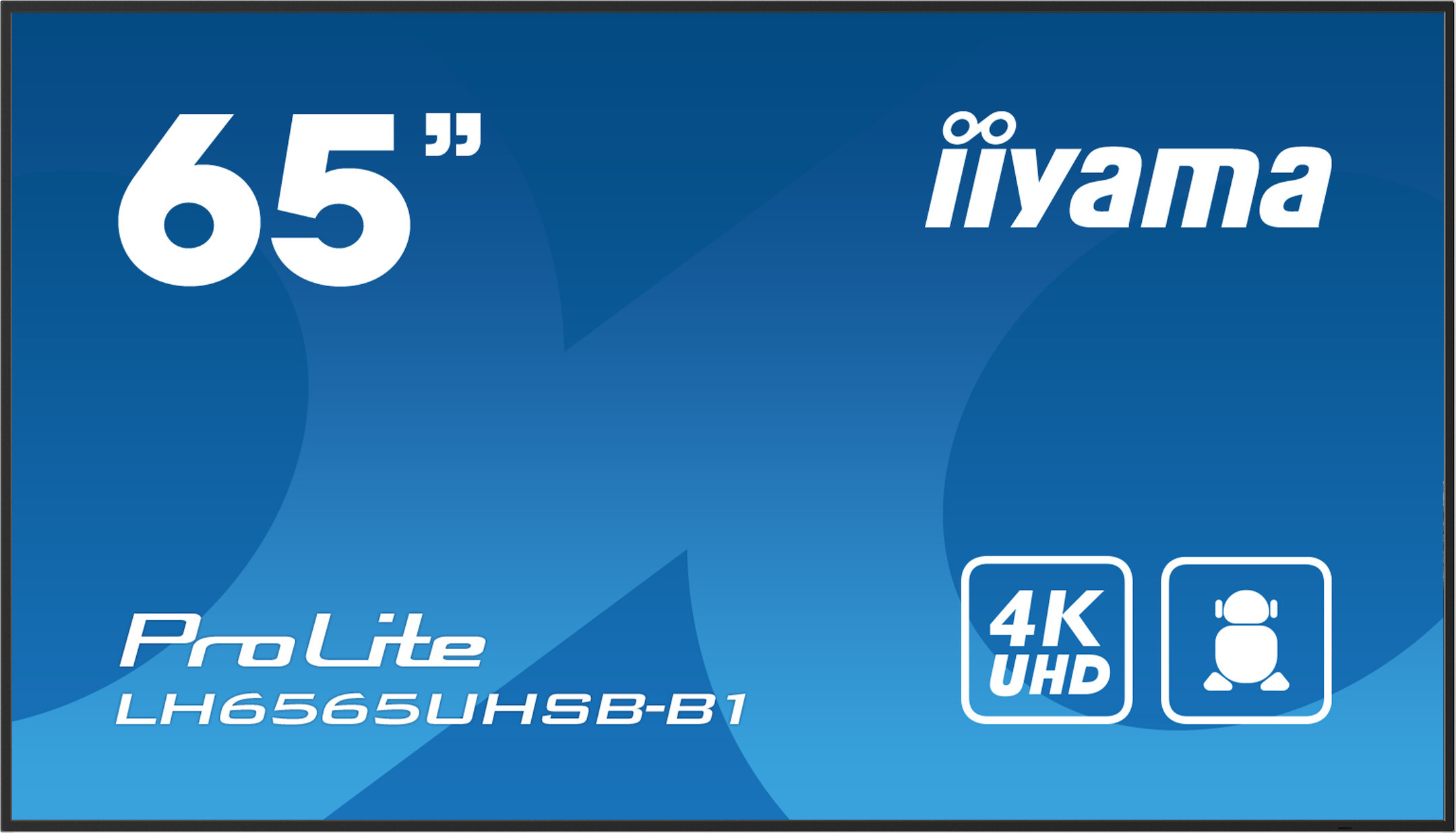 iiyama LH6565UHSB-B1, Kiosk-Design, 163,8 cm (64.5"), LED, 3840 x 2160 Pixel, WLAN, 24/7