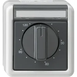 Gira Zeitschalter gr 032130