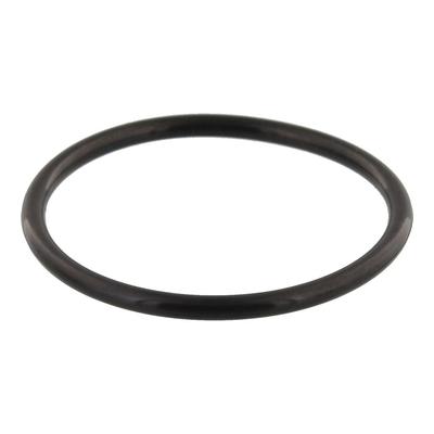 TOPRAN Dichtung, Thermostat 116418 für VW