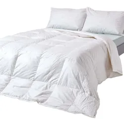 GANZJAHRES-DAUNENDECKE 200/200 cm, Entendaunen