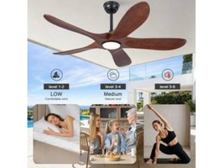 Plafonnier ventilateur avec éclairage 52 pouces 5 pales en bois télécommande 6 vitesses 3CCT dimmable
