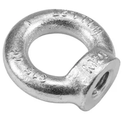 ACCESSORY Ringmutter M20 DIN 582 C15