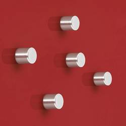 Sigel Neodym Magnet C5 Strong (Ø x H) 10 mm x 10 mm Zylinder Silber 5 St. BA700