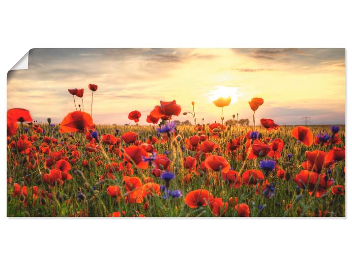 Wandbild ARTLAND Mohnblumen , rot (farbe bild(er): rot), B:100cm H:50cm, Bilder, Wandbild, als Alubild, Leinwandbild, Poster in verschied. Grössen