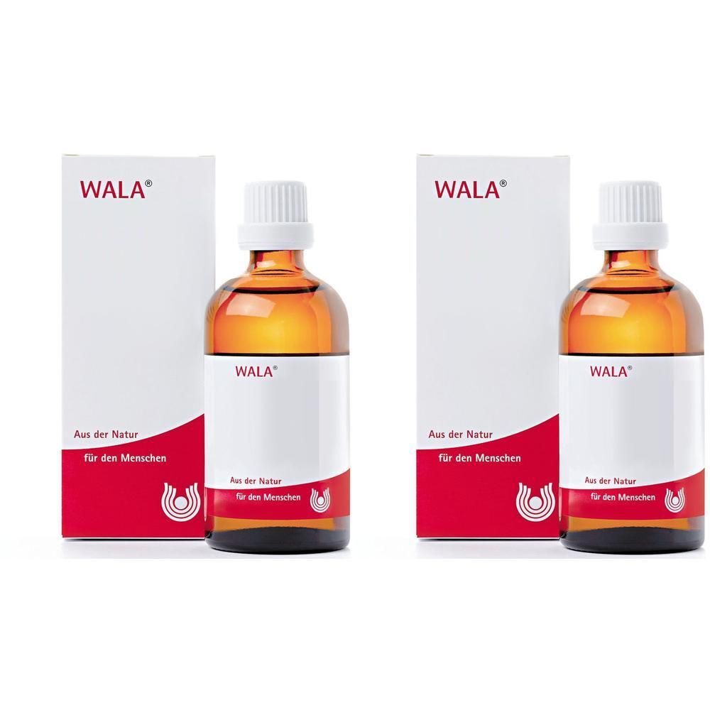 Prunus Spinosa E floribus W5% Oleum 2x 2x100 ml Öl