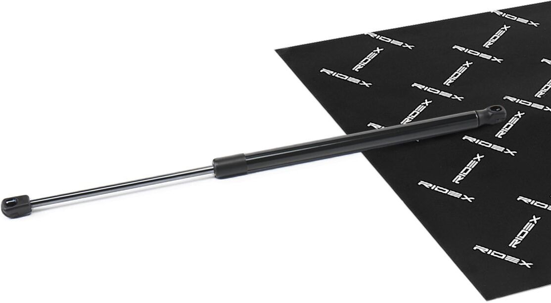 RIDEX 219G1107 Tailgate strut