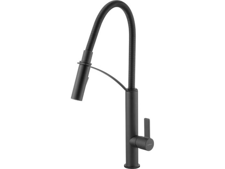 Deante Küchenarmatur Küchenarmatur Schwarz EInhebelmischer + flexibler Brause und Halterung