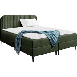 BOXBETT Box Best 1 - H3