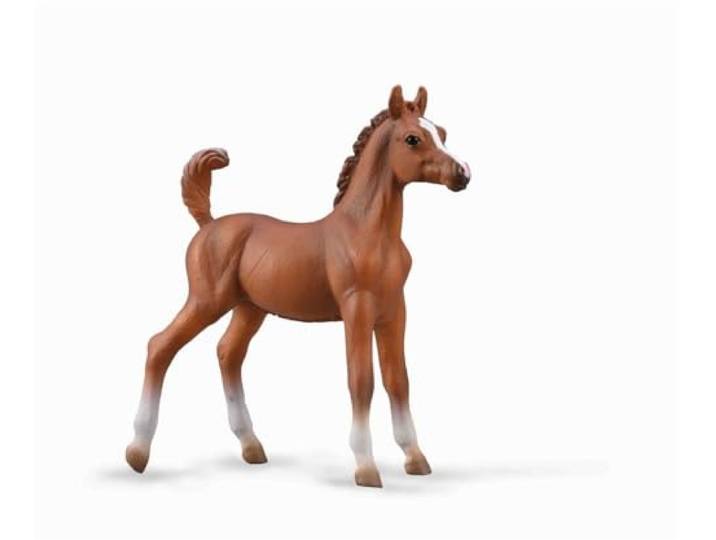 COLLECTA Arabische Veulen - 1:20