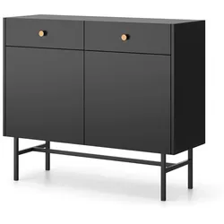 KOMMODE Dalia mit 2 Türen und 2 Schubladen, 104 cm, Schwarz