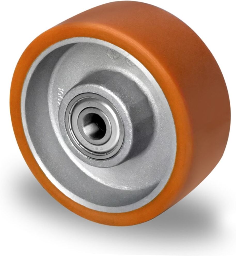 CASCOO Rad ø 100 mm Serie DAU5 Doppelkugellager (100DAU5D0N)