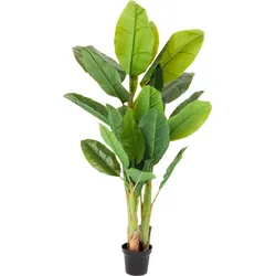 KARE DESIGN Deko Pflanze 64003 Banana Tree Kunststoff Grün