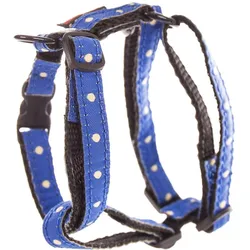 Image Reg Beach (Hund, Spazieren), Halsband + Leine