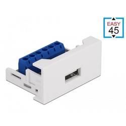 Delock - Easy 45 - Einrastmodul - USB - 1 Modul 81343