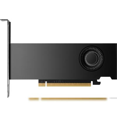 HP NVIDIA RTX 2000 Ada - Grafikkarten - NVIDIA RTX 2000 Ada