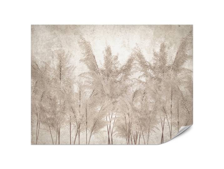 FOTOTAPETE für Schlafzimmer Pampasgras Vintage Beige Boho 200x140