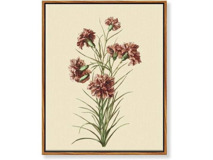 Leinwandbild mit Rahmen Botanisch Rosa Nelke 30 x 40 cm, Holz, 30x0.5 cm, Bilder & Rahmen, Bilder, Leinwandbilder