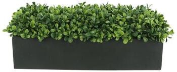 Creative Labs UV Rated Outdoor Boxwoods Arranged in a Rectangular Planter - Green