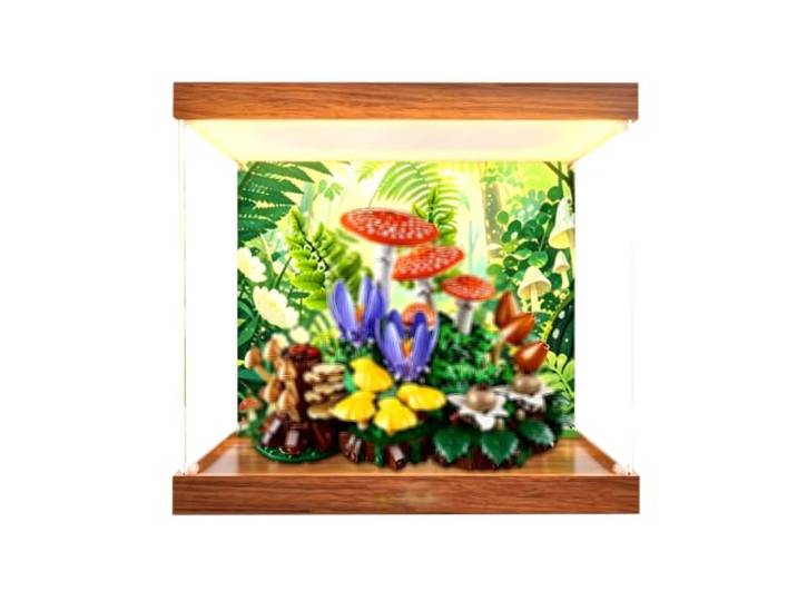 Vitrine kompatibel mit Le-go 11505 Waldpilze Sets (Leuchtkasten B) Staubdichte Vitrine Box, Heimaufbewahrung, kompatibel mit Le-go 11505 Waldpilzen (nur Box)