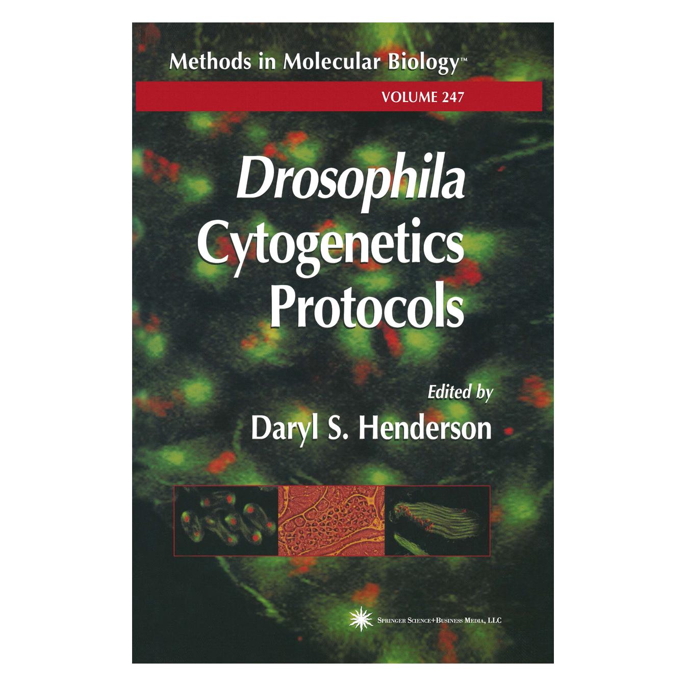 Springer Drosophila Cytogenetics Protocols (Englisch, Softcover, Daryl S. Henderson) (55382838)