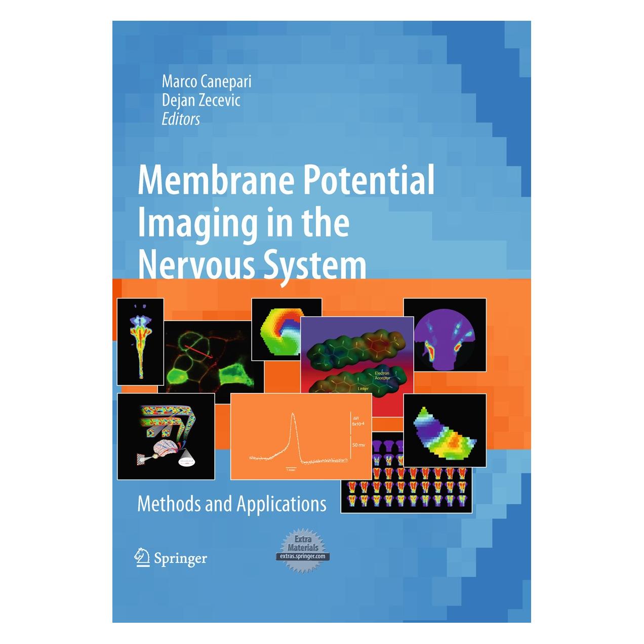 Springer Membrane Potential Imaging in the Nervo (Englisch, Hardcover, Dejan Zecevic, Marco Canepari) (9781441965578)
