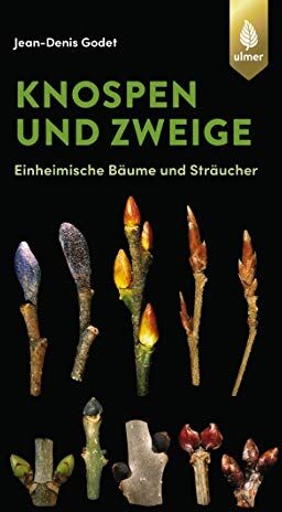 Jean-Denis Godet - Knospen und Zweige: Einheimische Bäume und Sträucher (GODET Naturführer) - Preis vom 09.10.2026 07:28:09 h