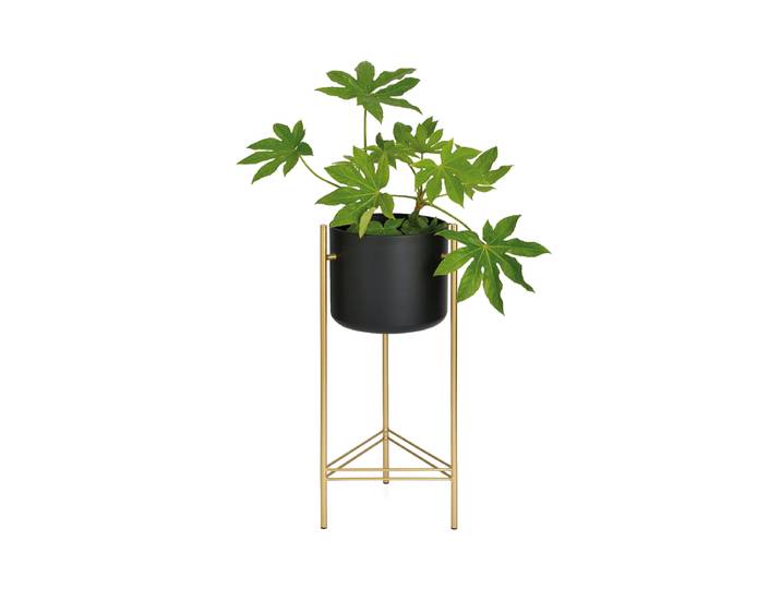 Design Blumentopf „Glory“ Schwarz, Gold Andrea House
