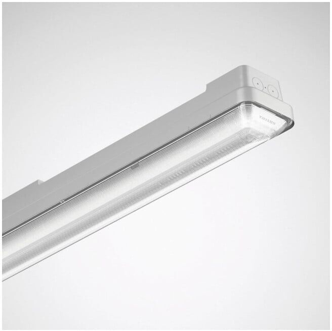TRILUX Luminaire LED pour locaux humides B6000-840ETDDPC OleveonF 1.5 (7125051)