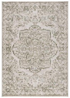 SAFAVIEH Chamber Gaetanina Medallion Area Rug