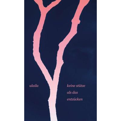 keine stütze als das entzücken, Gebundene Ausgabe von . Ulaila, Tredition, 978-3-347-01850-1