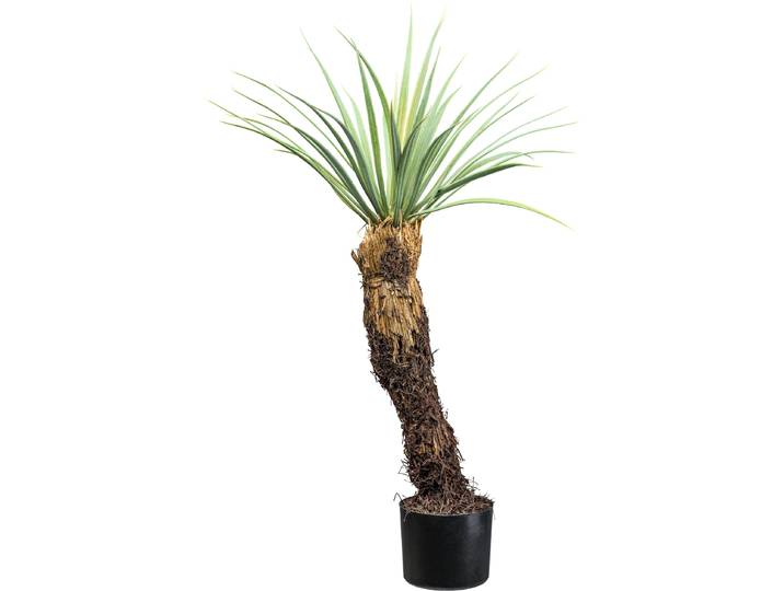 Kunstpflanze CREATIV GREEN Yucca Rostrata , grün (grün, grau), H:93cm, Kunstpflanzen, Kunstpflanze, mit außergewöhnlichem Stamm