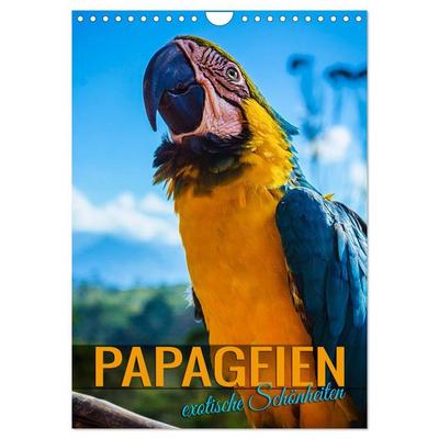 Papageien - exotische Schönheiten (Wandkalender 2026 DIN A4 hoch), CALVENDO Monatskalender