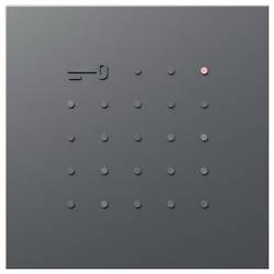 Siedle 210006028-01 Rahmen