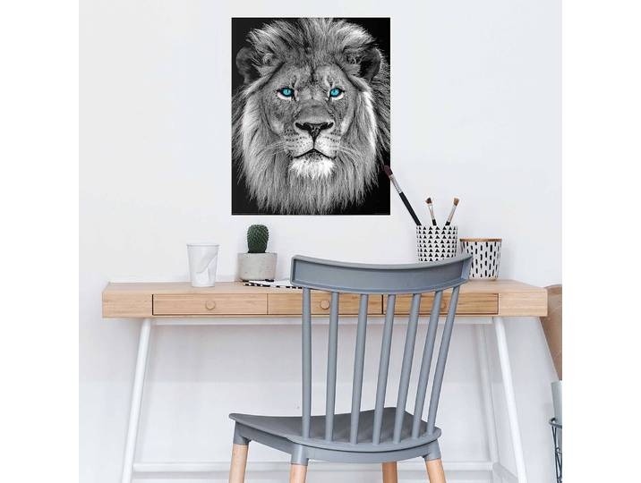 Poster Lion aux yeux bleus Papier Noir 40 x 50 x 0cm