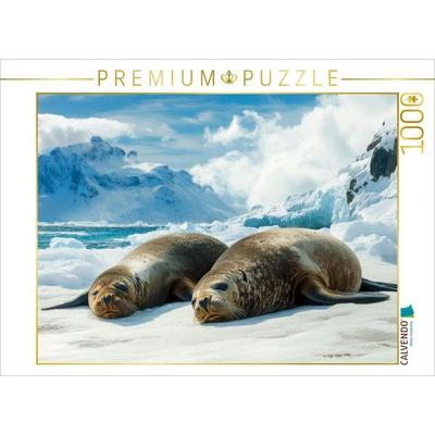 CALVENDO Puzzle Arktische Gelassenheit der Robben | 1000 Teile Lege-Größe 64x48cm Foto-Puzzle für glückliche Stunden, von , Calvendo Puzzle