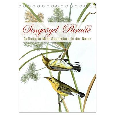 Singvögel-Parade (Tischkalender 2026 DIN A5 hoch), CALVENDO Monatskalender