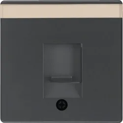 Berker Zentralstück anth/sa 11706086