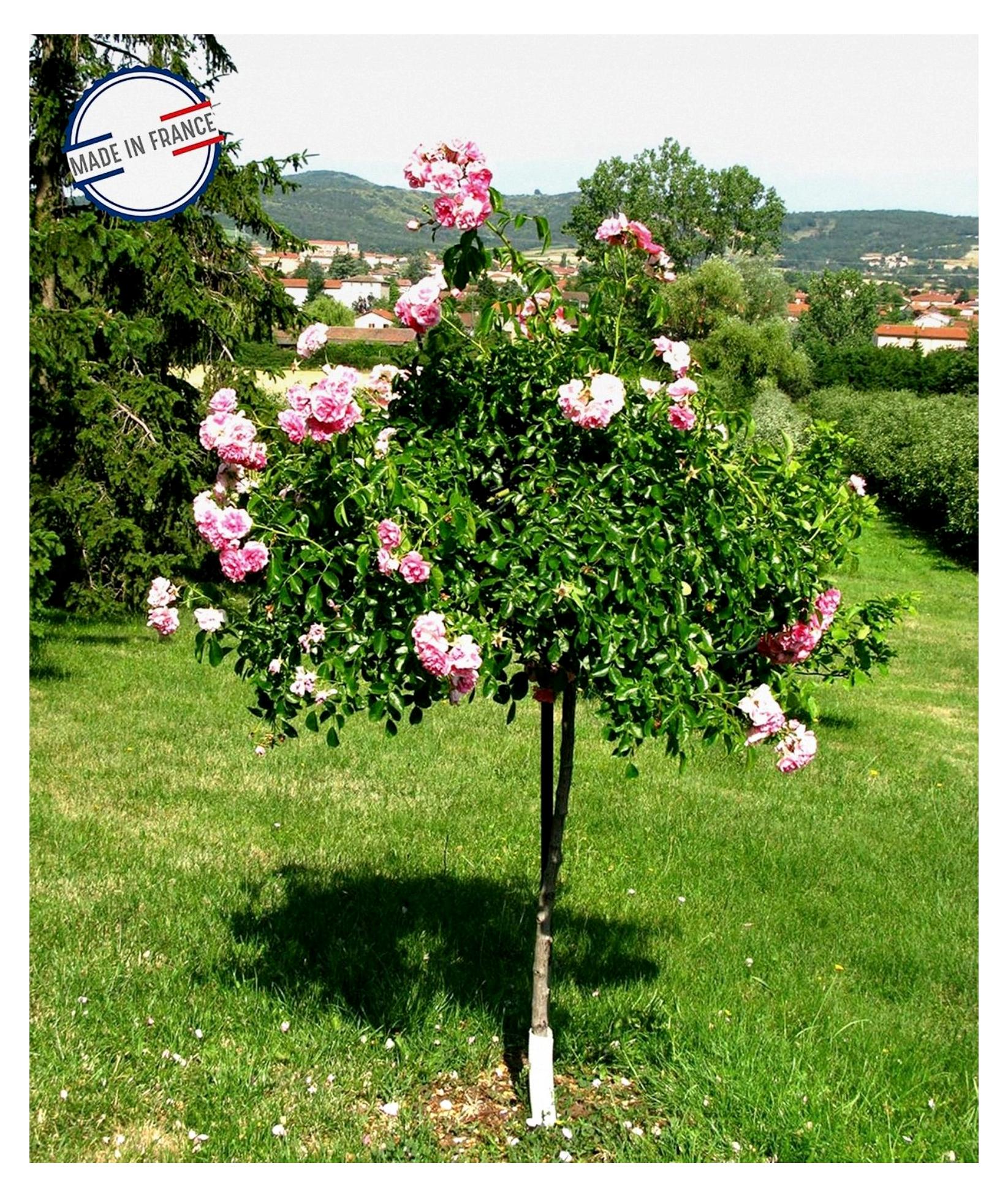 Louis Windmühle Garten Regenschirm mit 9 Blütenblättern aus antikem Eisen und gealtertem Metall, 250 cm