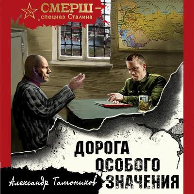 Doroga osobogo znacheniya - Alexander Tamonnikov, Audio, 9785041863692