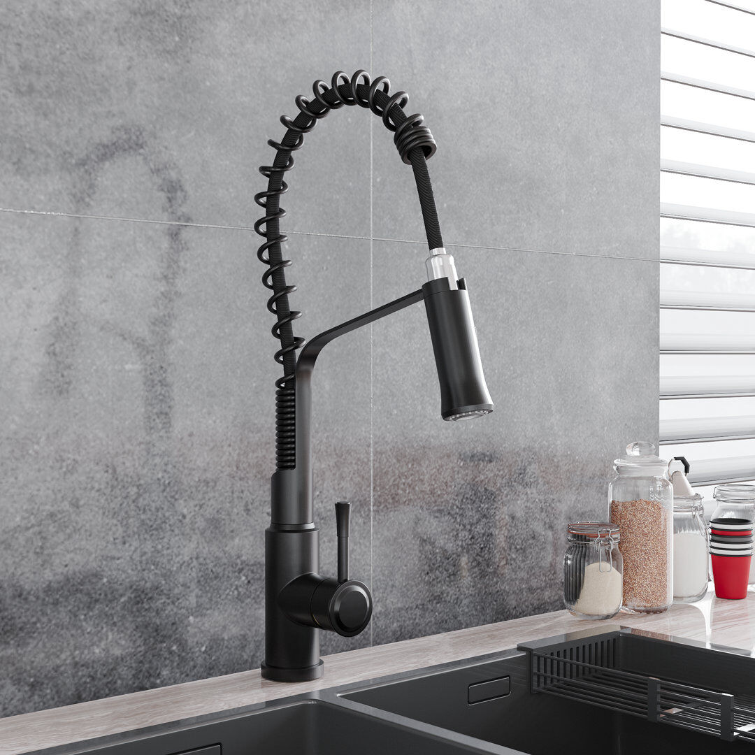 Belfry Kitchen Catawba Pull Down Kitchen Faucet Black