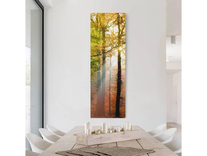 Impression sur toile Morning Light II Matériau : Matière plastique Motif : Avec motif Motif : Arbres, plantes & nature Type de matière