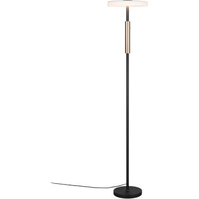 TRIO LEUCHTEN LED Stehlampe "CELESTE, LED Stehleuchte mit 4-Stufen Touchdimmer 15W warmweiß 3000K", braun (coffee), 1, Ø 33cm H: 160cm, 1 Stk., Leuchten, 1750 Lumen Höhe 160cm, Stehlampe mit Glasschirm Ø 33cm, Memoryfunktion, LED Stehlampe