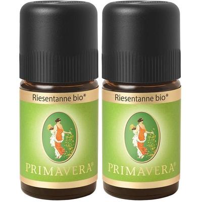Riesentanne kbA ätherisches Öl 2x 2x5 ml Ätherisches
