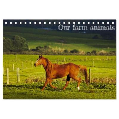 Our farm animals (Desk Calendar 2027 DIN A5 landscape), CALVENDO 12 Month DeskCalendar