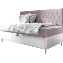 BOXBETT Filip Junior 2 - H3