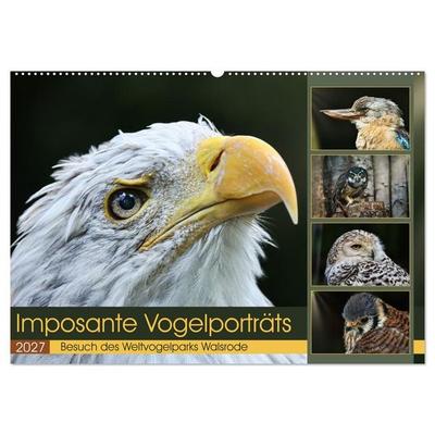 Imposante Vogelporträts (Wandkalender 2027 DIN A2 quer), CALVENDO Monatskalender