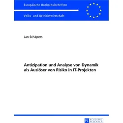 Antizipation und Analyse von Dynamik als Auslöser von Risiko in IT-Projekten, Fachbücher von Jan Schäpers