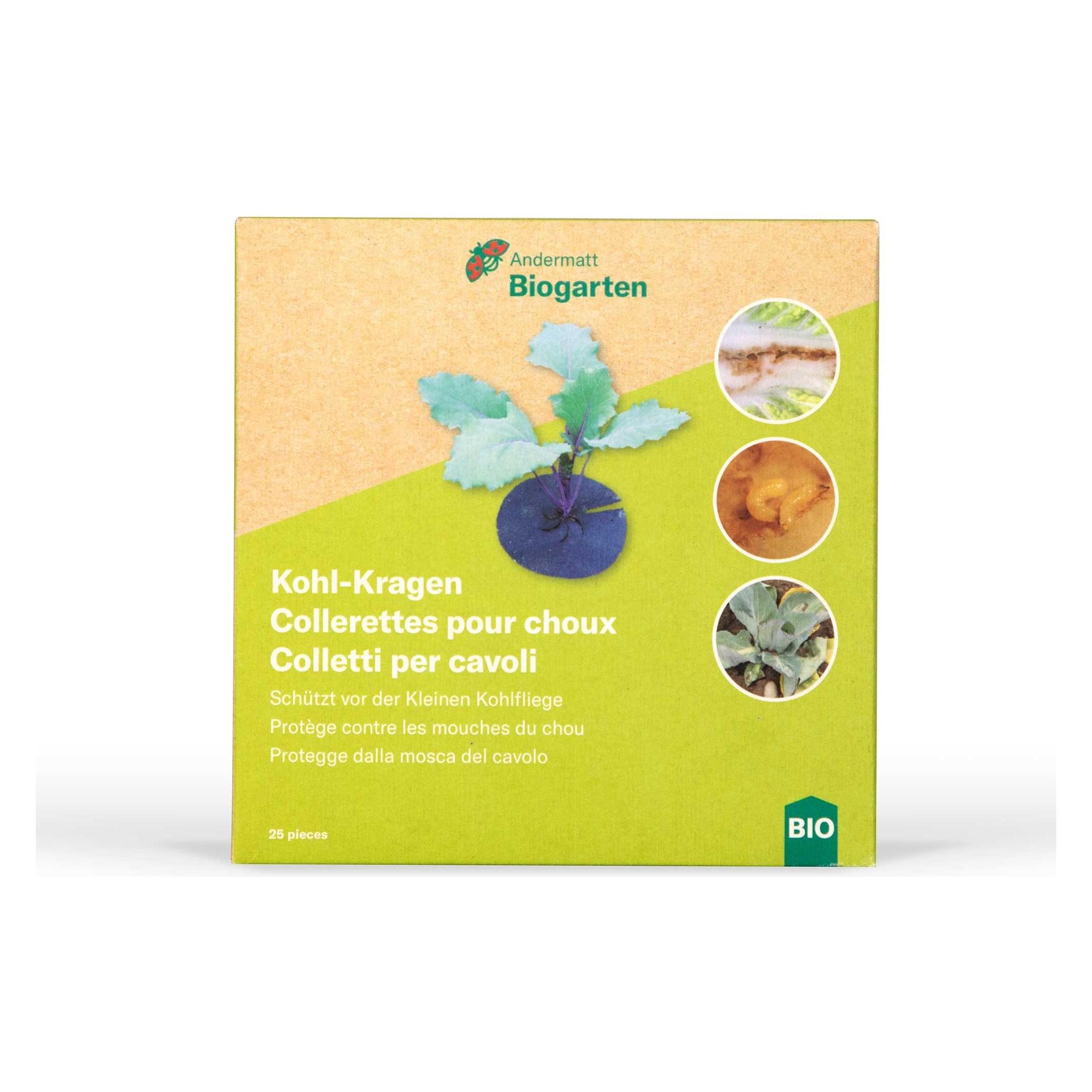 Andermatt Biogarten Kohl - Kragen (50.70 ml) (557G)